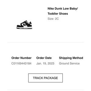 Nike Dunk Low Panda Size 2C